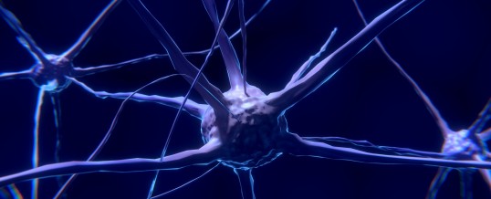 An Integrative Approach to Neuropathy